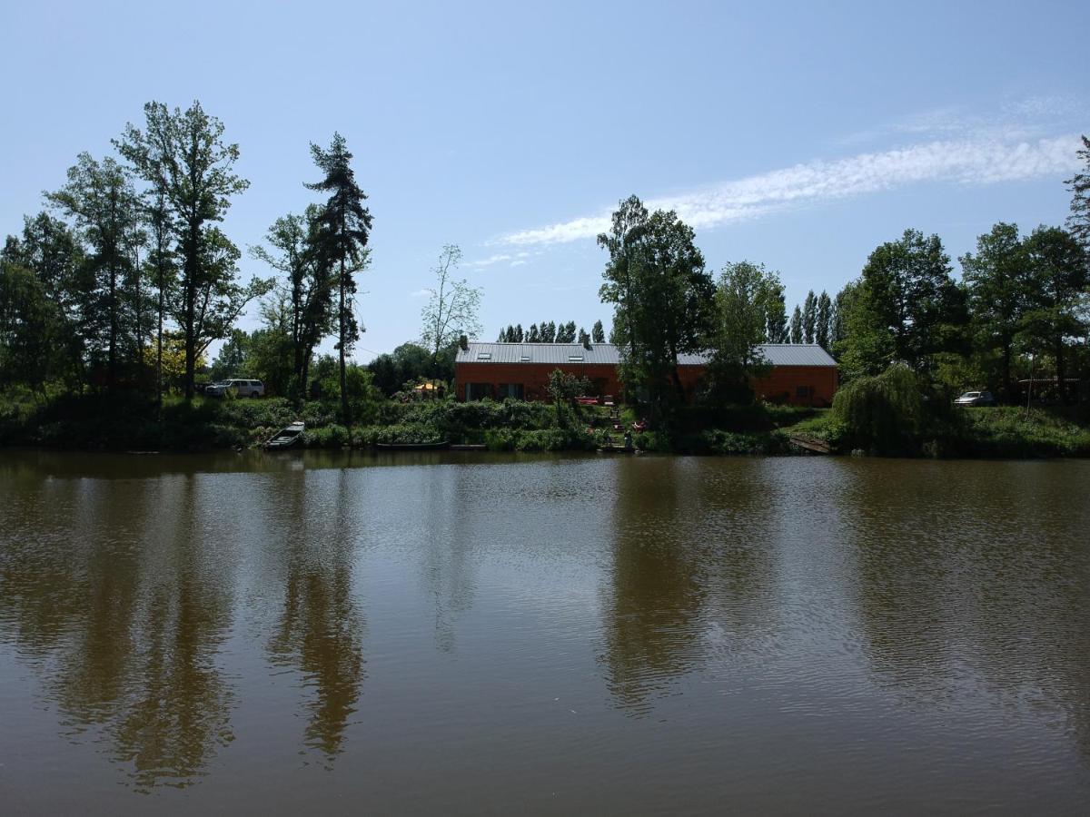 Florennes Gîte neuf 150 M2 devant un grand lac privé de 2 hectares poissonneux au milieu des bois Esterno foto