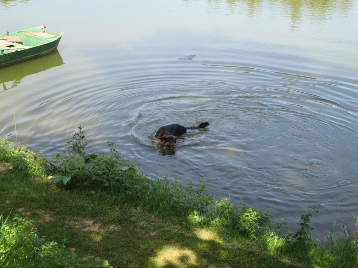 Florennes Gîte neuf 150 M2 devant un grand lac privé de 2 hectares poissonneux au milieu des bois Esterno foto