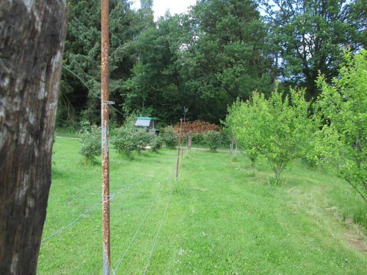 Florennes Gîte neuf 150 M2 devant un grand lac privé de 2 hectares poissonneux au milieu des bois Esterno foto