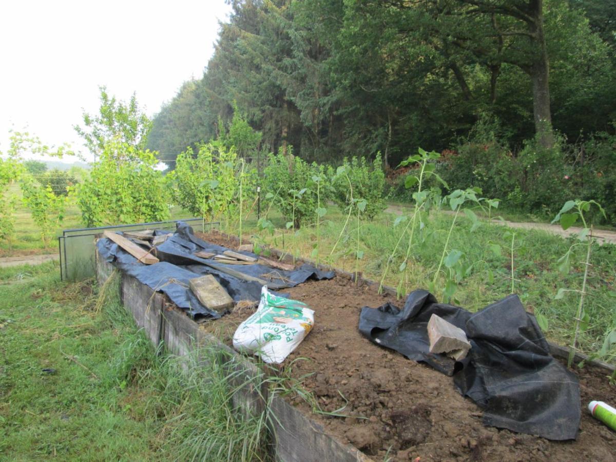 Florennes Gîte neuf 150 M2 devant un grand lac privé de 2 hectares poissonneux au milieu des bois Esterno foto