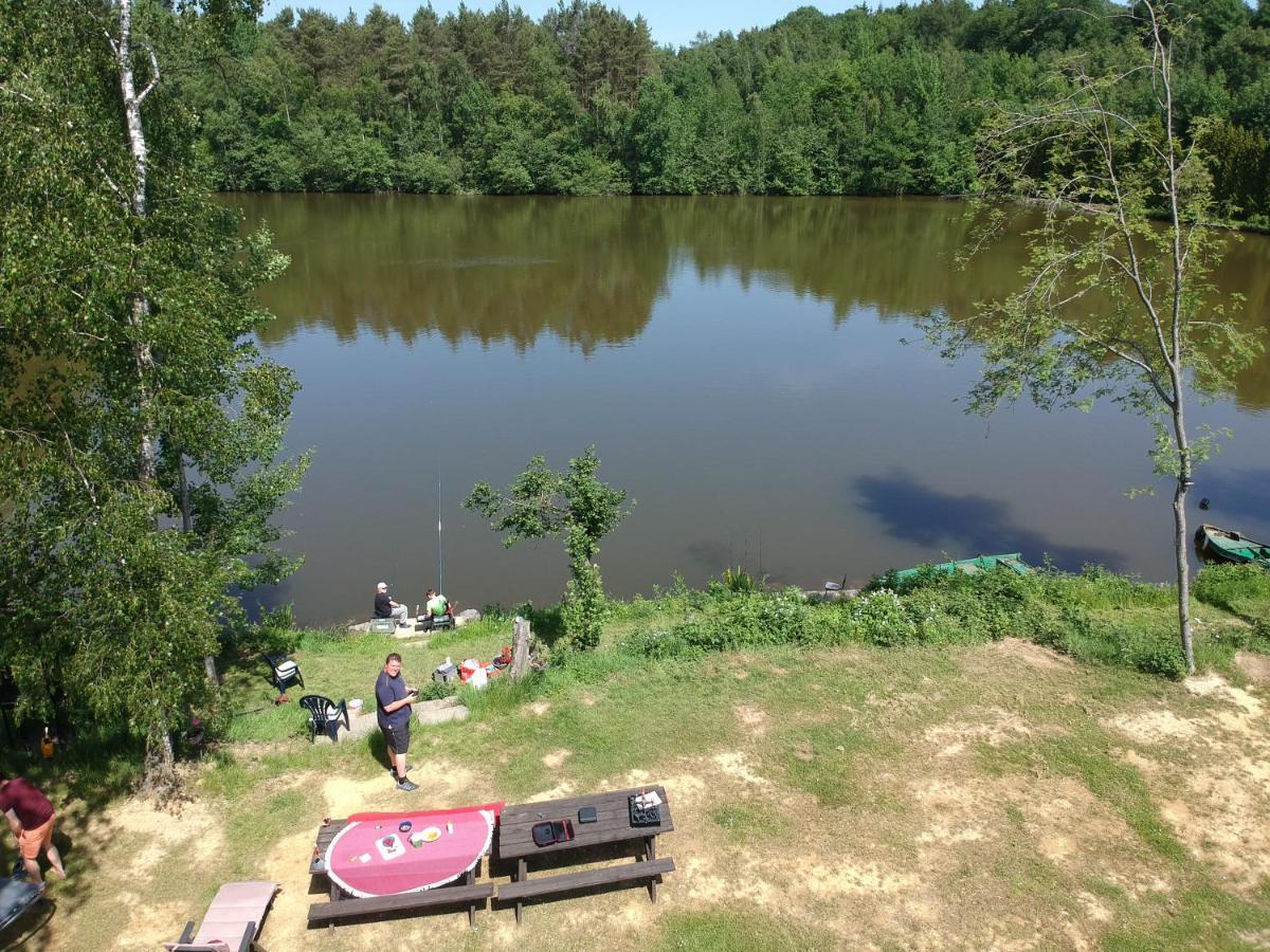 Florennes Gîte neuf 150 M2 devant un grand lac privé de 2 hectares poissonneux au milieu des bois Esterno foto