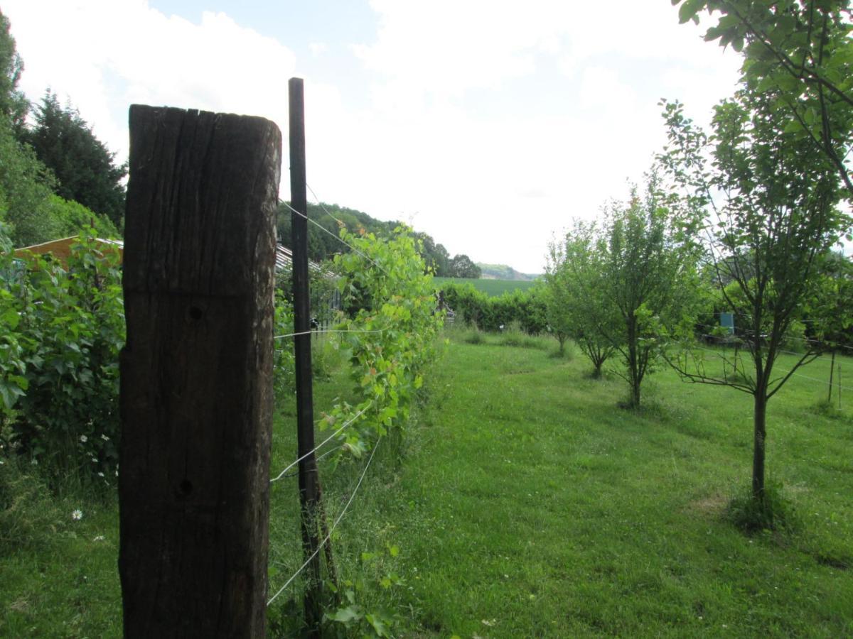 Florennes Gîte neuf 150 M2 devant un grand lac privé de 2 hectares poissonneux au milieu des bois Esterno foto