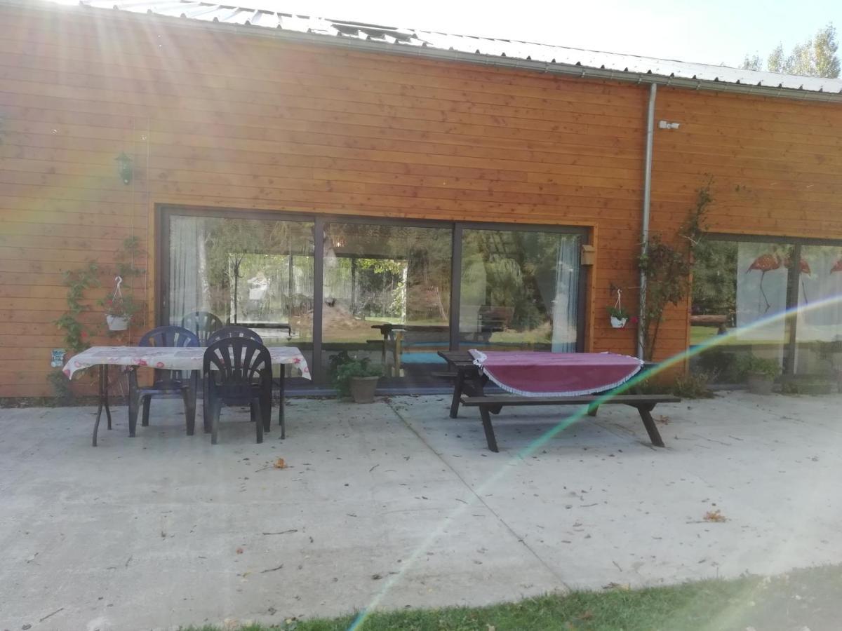 Florennes Gîte neuf 150 M2 devant un grand lac privé de 2 hectares poissonneux au milieu des bois Esterno foto