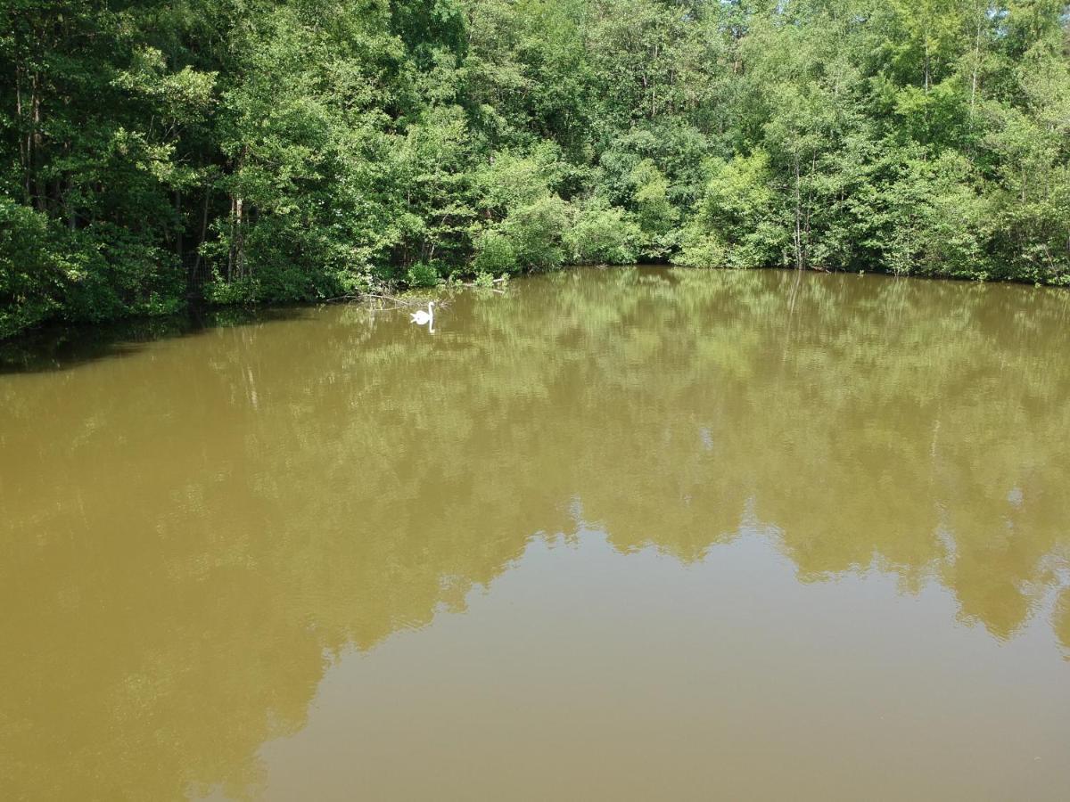 Florennes Gîte neuf 150 M2 devant un grand lac privé de 2 hectares poissonneux au milieu des bois Esterno foto