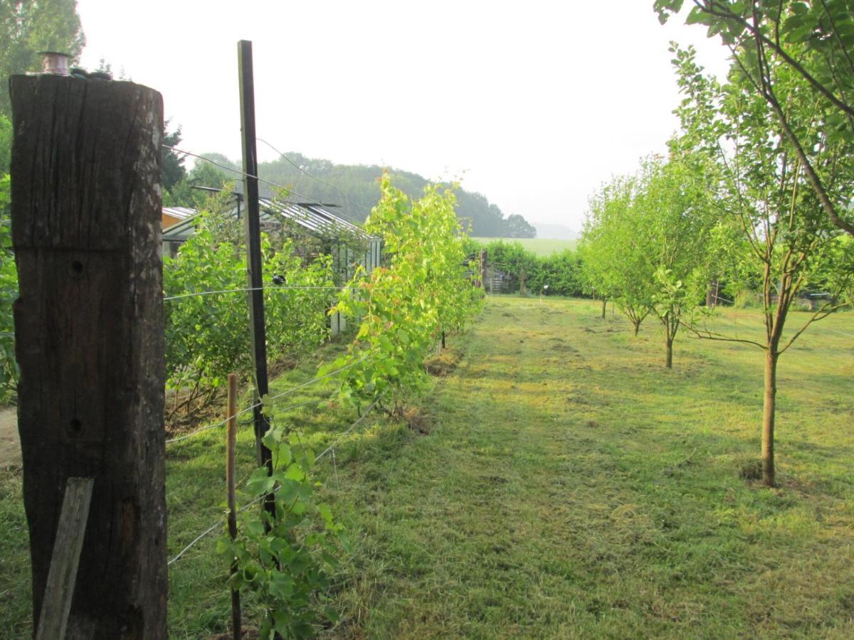 Florennes Gîte neuf 150 M2 devant un grand lac privé de 2 hectares poissonneux au milieu des bois Esterno foto