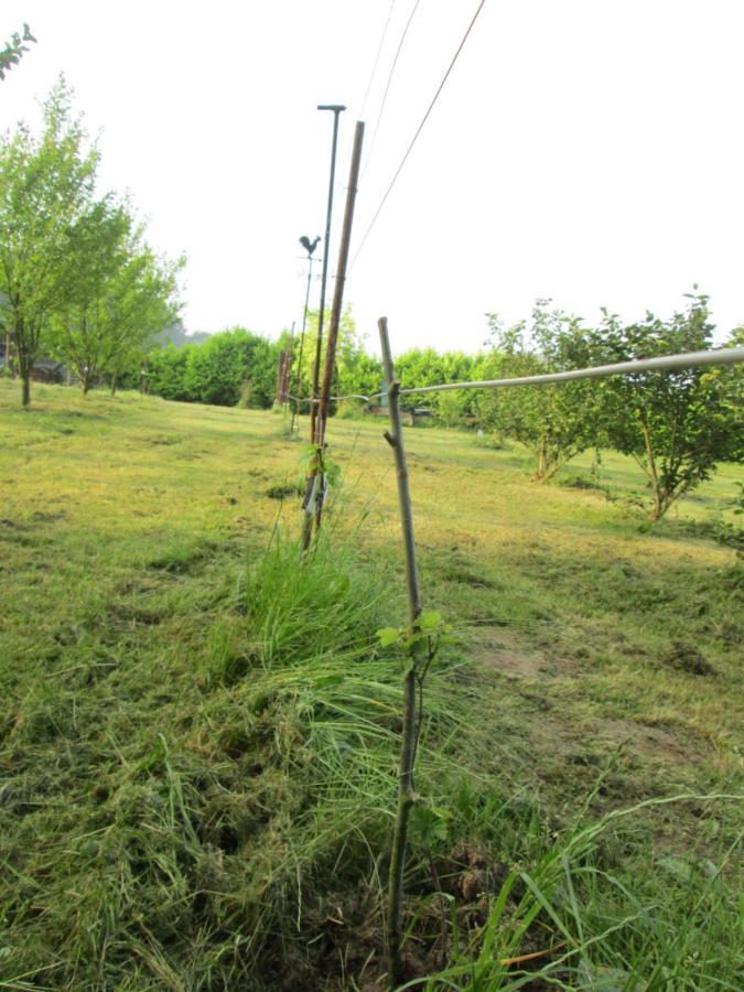 Florennes Gîte neuf 150 M2 devant un grand lac privé de 2 hectares poissonneux au milieu des bois Esterno foto
