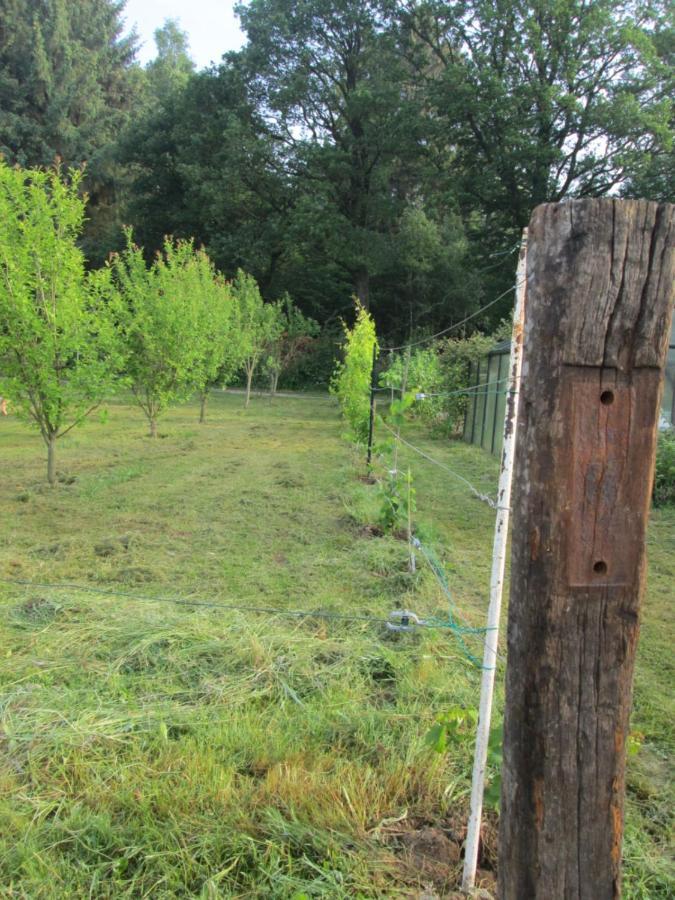Florennes Gîte neuf 150 M2 devant un grand lac privé de 2 hectares poissonneux au milieu des bois Esterno foto