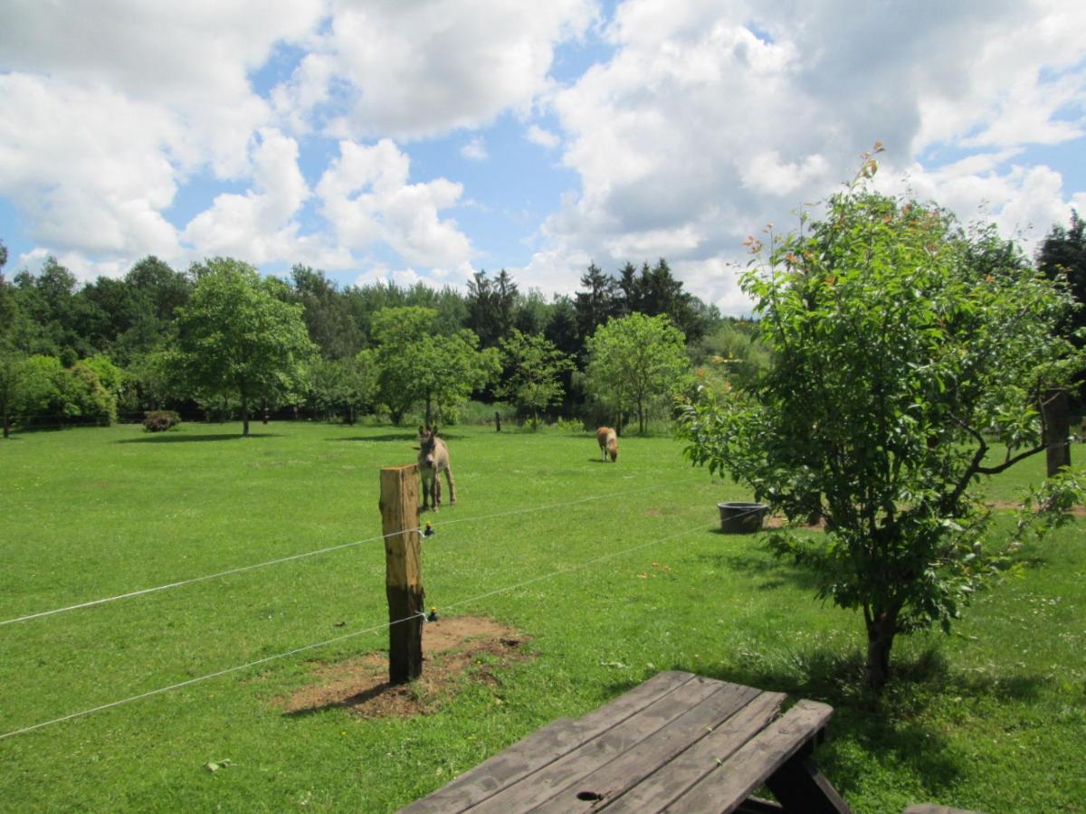 Florennes Gîte neuf 150 M2 devant un grand lac privé de 2 hectares poissonneux au milieu des bois Esterno foto