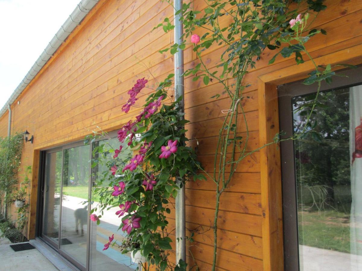 Florennes Gîte neuf 150 M2 devant un grand lac privé de 2 hectares poissonneux au milieu des bois Esterno foto
