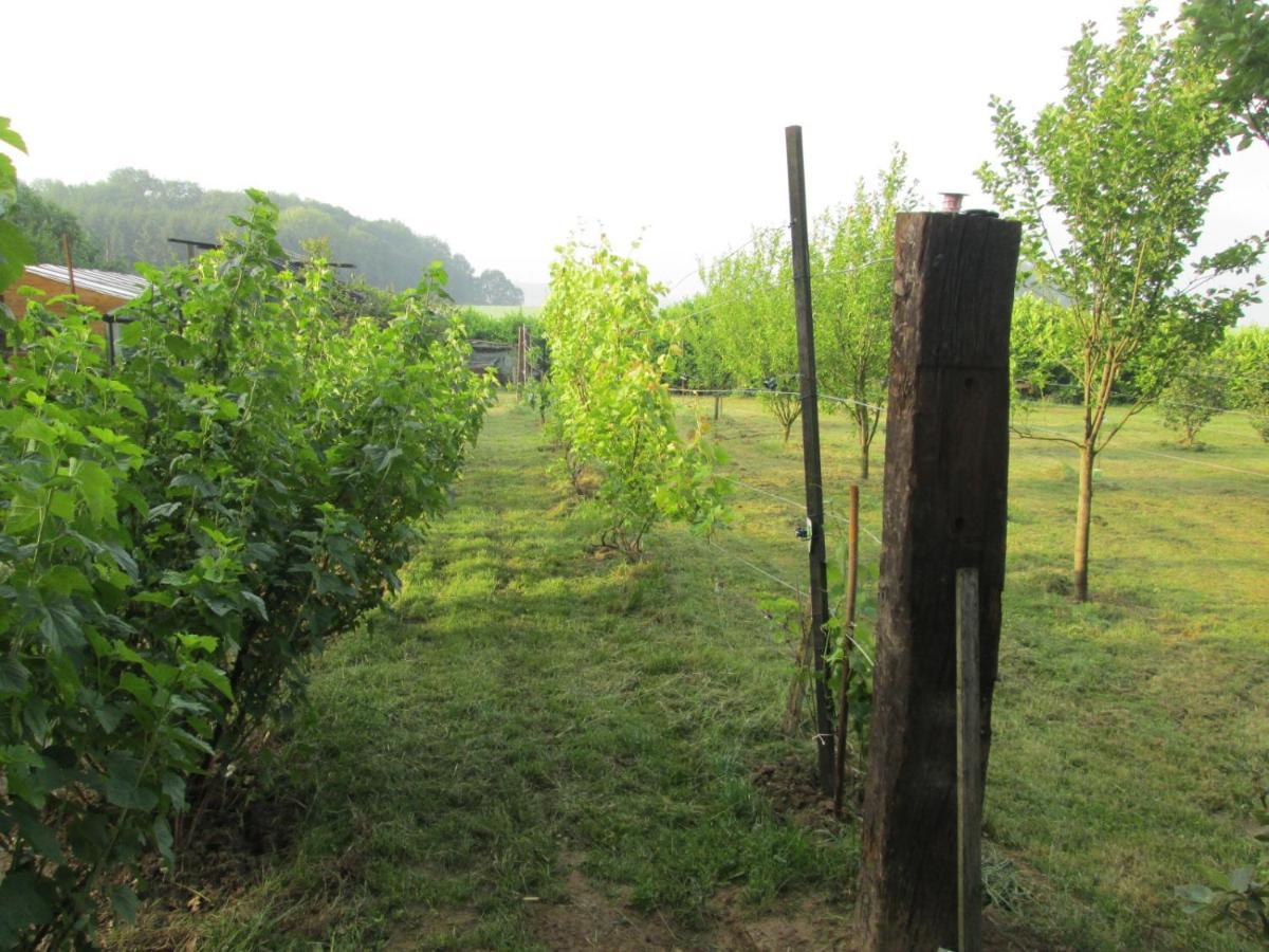 Florennes Gîte neuf 150 M2 devant un grand lac privé de 2 hectares poissonneux au milieu des bois Esterno foto
