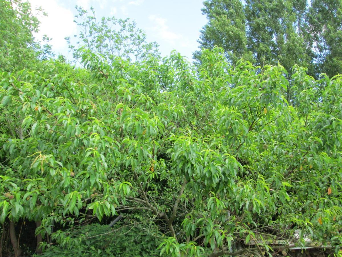 Florennes Gîte neuf 150 M2 devant un grand lac privé de 2 hectares poissonneux au milieu des bois Esterno foto