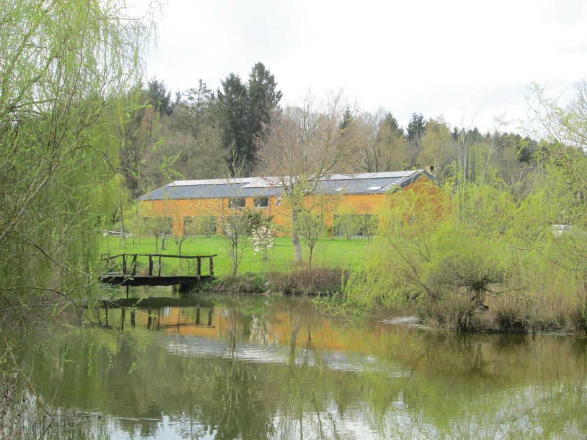 Florennes Gîte neuf 150 M2 devant un grand lac privé de 2 hectares poissonneux au milieu des bois Esterno foto