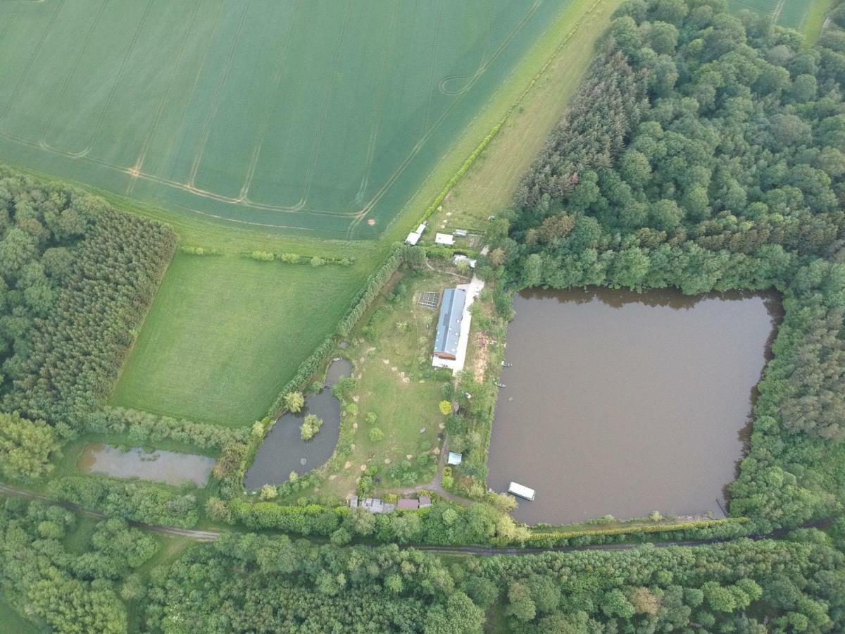 Florennes Gîte neuf 150 M2 devant un grand lac privé de 2 hectares poissonneux au milieu des bois Esterno foto