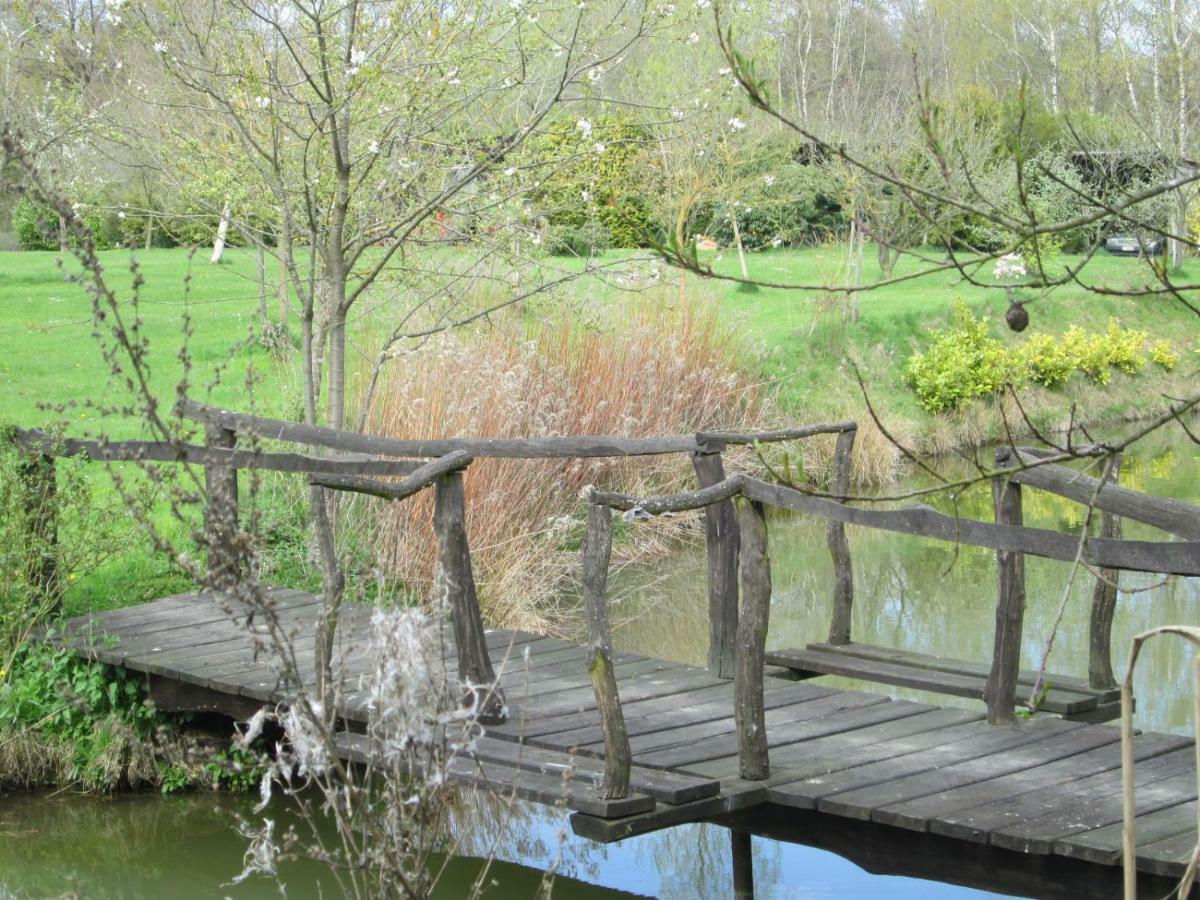Florennes Gîte neuf 150 M2 devant un grand lac privé de 2 hectares poissonneux au milieu des bois Esterno foto