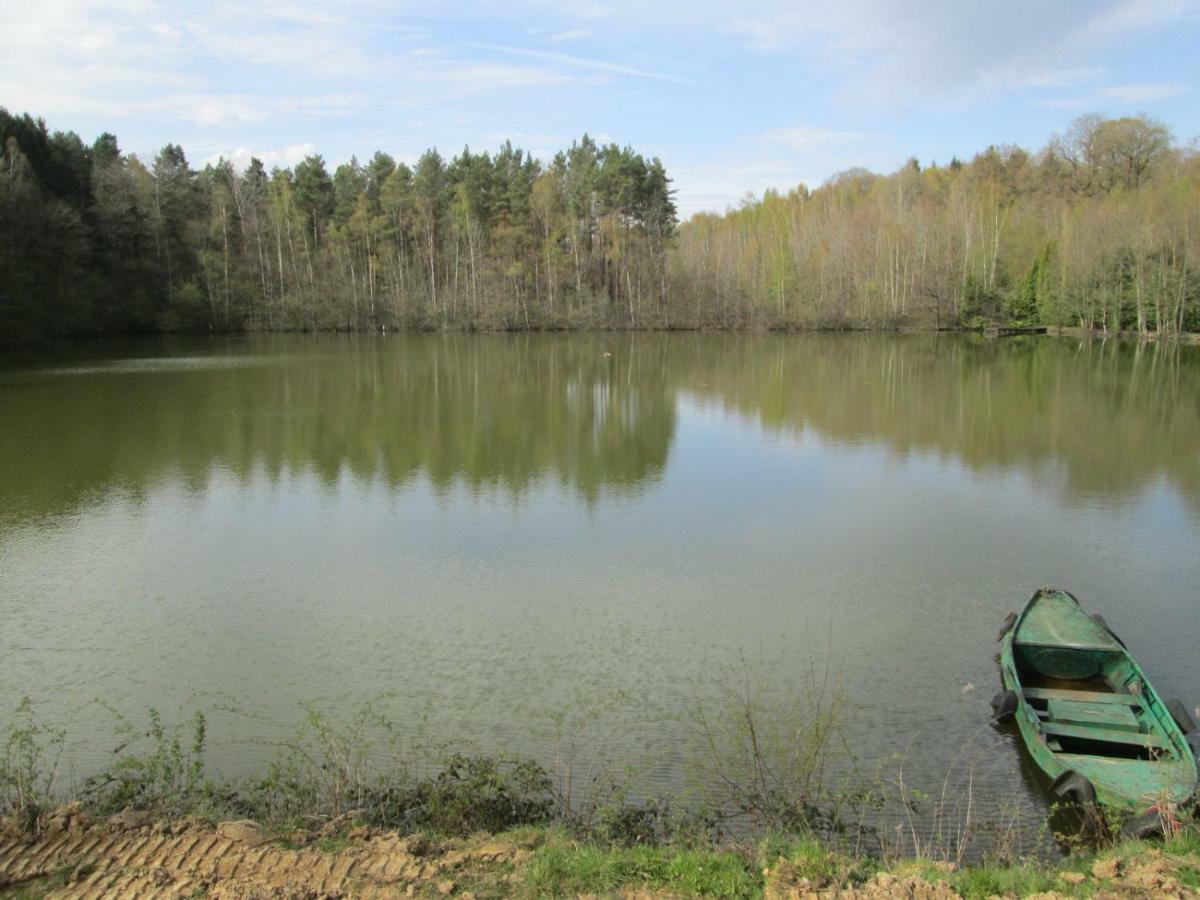 Florennes Gîte neuf 150 M2 devant un grand lac privé de 2 hectares poissonneux au milieu des bois Esterno foto