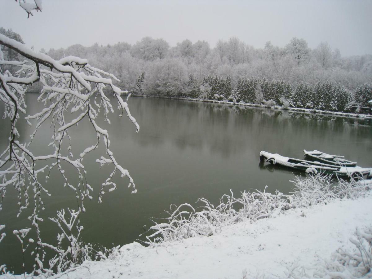 Florennes Gîte neuf 150 M2 devant un grand lac privé de 2 hectares poissonneux au milieu des bois Esterno foto