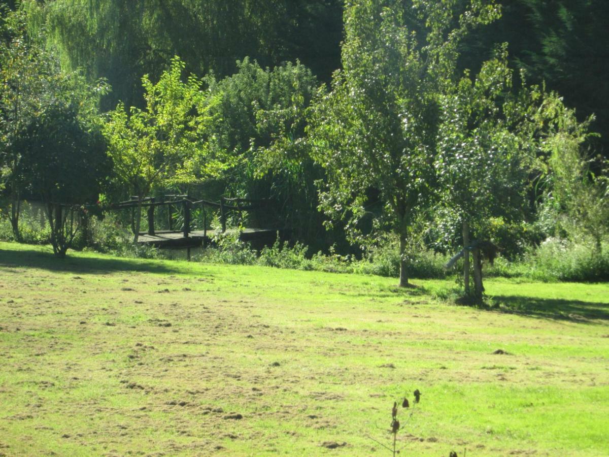 Florennes Gîte neuf 150 M2 devant un grand lac privé de 2 hectares poissonneux au milieu des bois Esterno foto