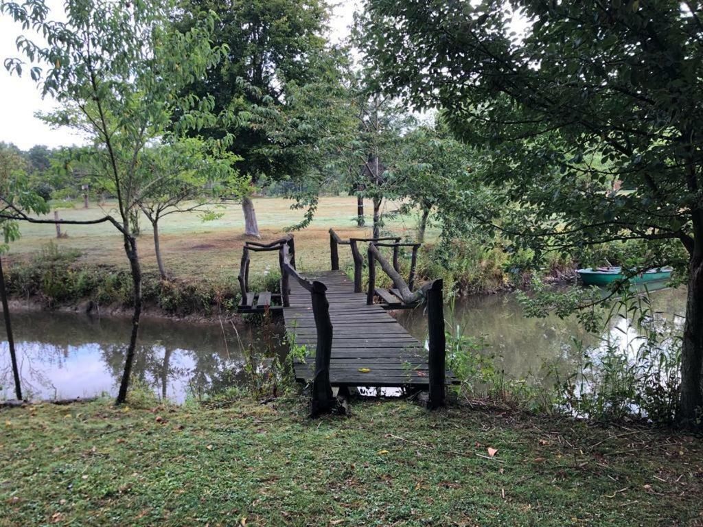 Florennes Gîte neuf 150 M2 devant un grand lac privé de 2 hectares poissonneux au milieu des bois Esterno foto