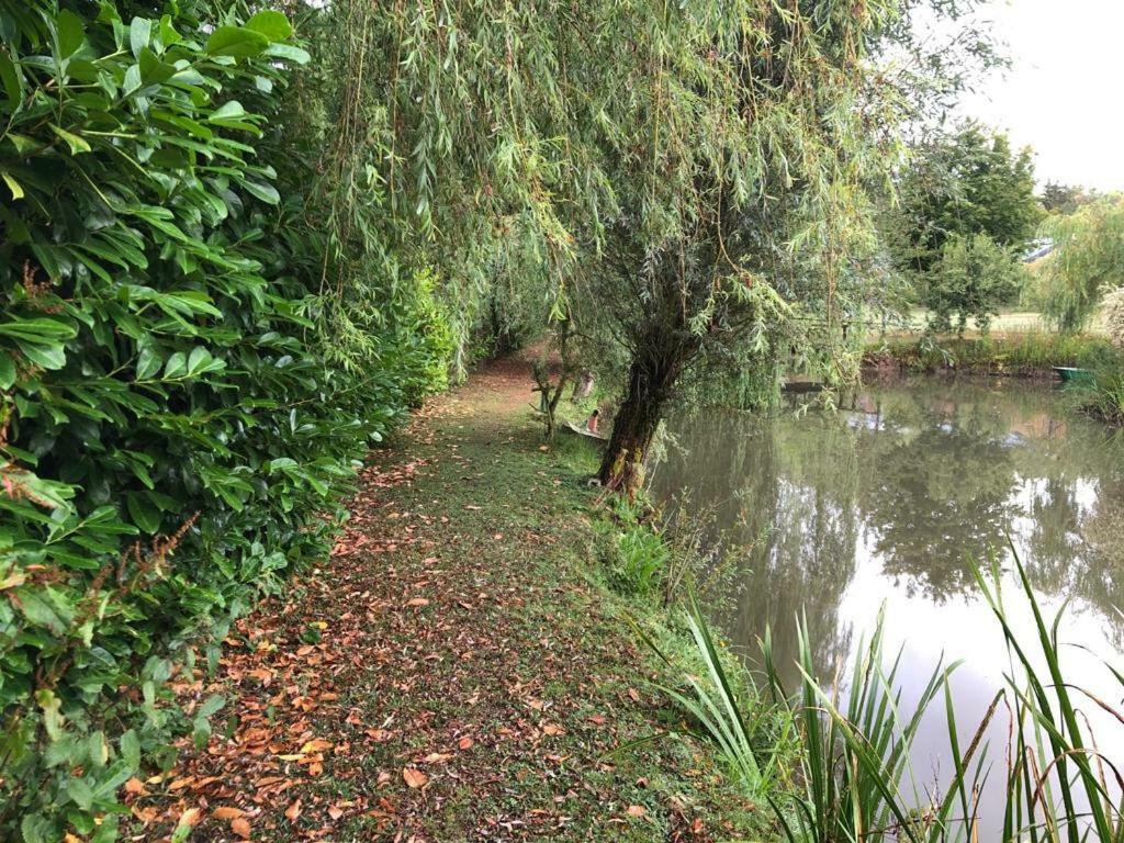Florennes Gîte neuf 150 M2 devant un grand lac privé de 2 hectares poissonneux au milieu des bois Esterno foto